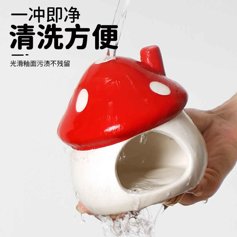 其它水族宠物实物图