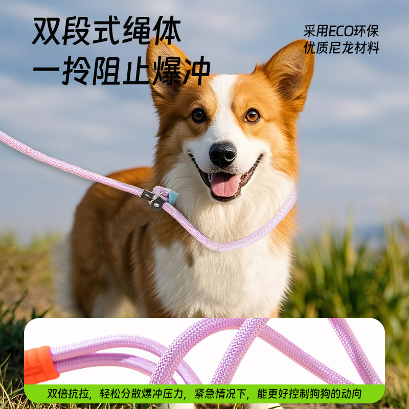 Pet P rope, pet leash, multi-functional p chain, dog walking rope, diagonal cross, free hands, small, medium and large dogs, anti-explosion impact Specification image