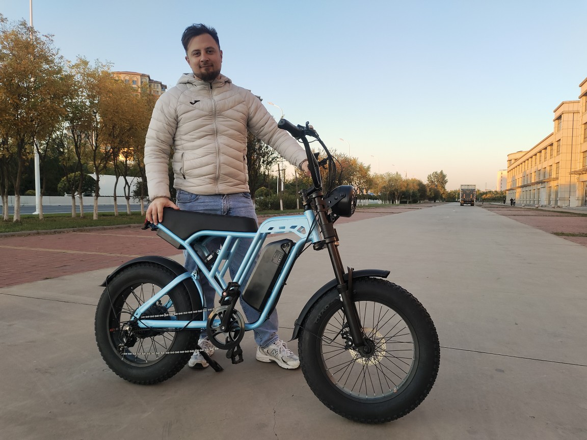 ebike lithium battery-powered snow bike 4.0 tire wide tire European 20-inch fat tire beach snow off-road single details Picture