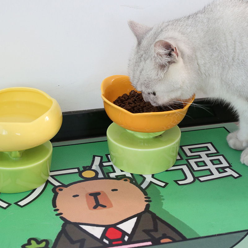 Pet cat placemats, cat bowls, food basins, waterproof and anti-slip MATS, food and tableware MATS for eating Specification image