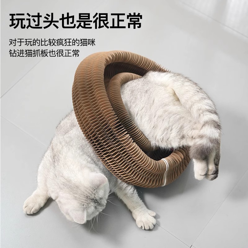 魔术玩具实物图