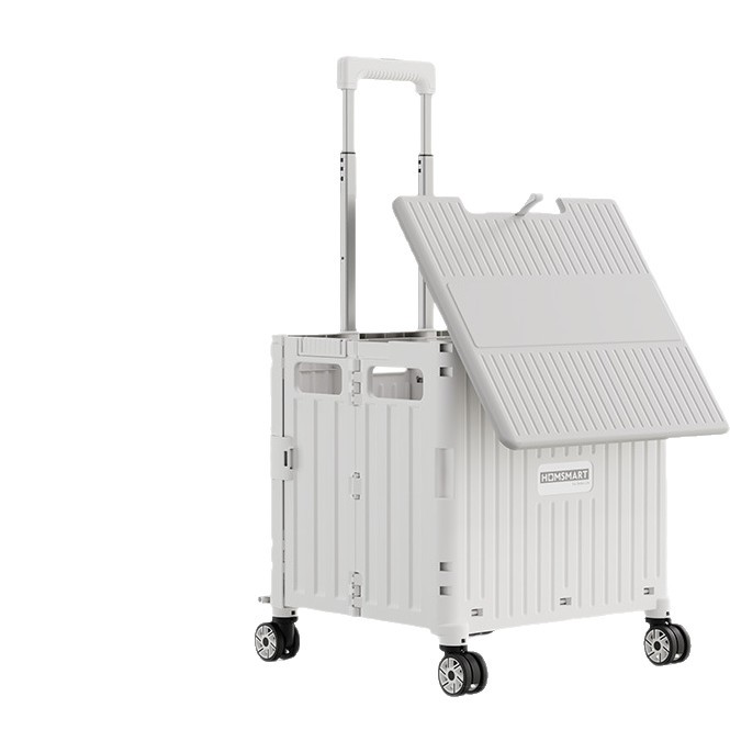 import白底实物图