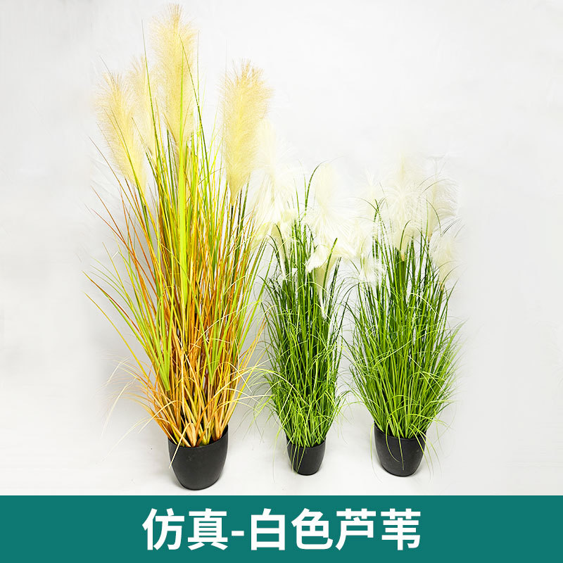 小摆件/仿真盆景/仿真花/模型树/宠物窝产品图