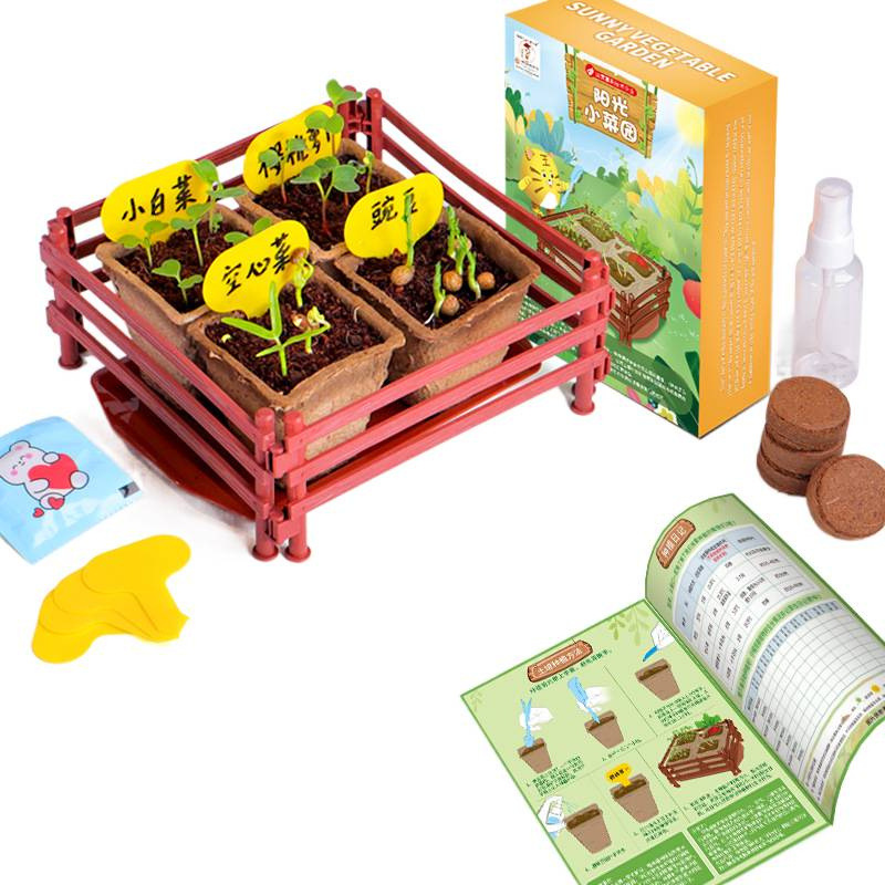 Sunshine Little Vegetable Garden Wooden Science Experiment Set DIY Dragon Boat Planting Science and Technology Small Experiment Toys Item Picture