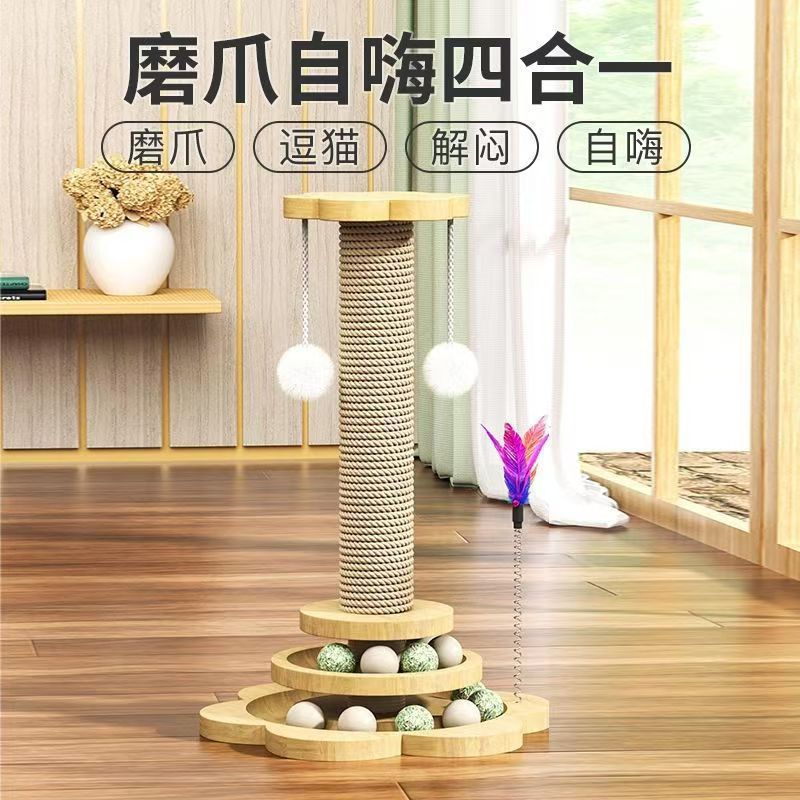 猫猫包、箱实物图