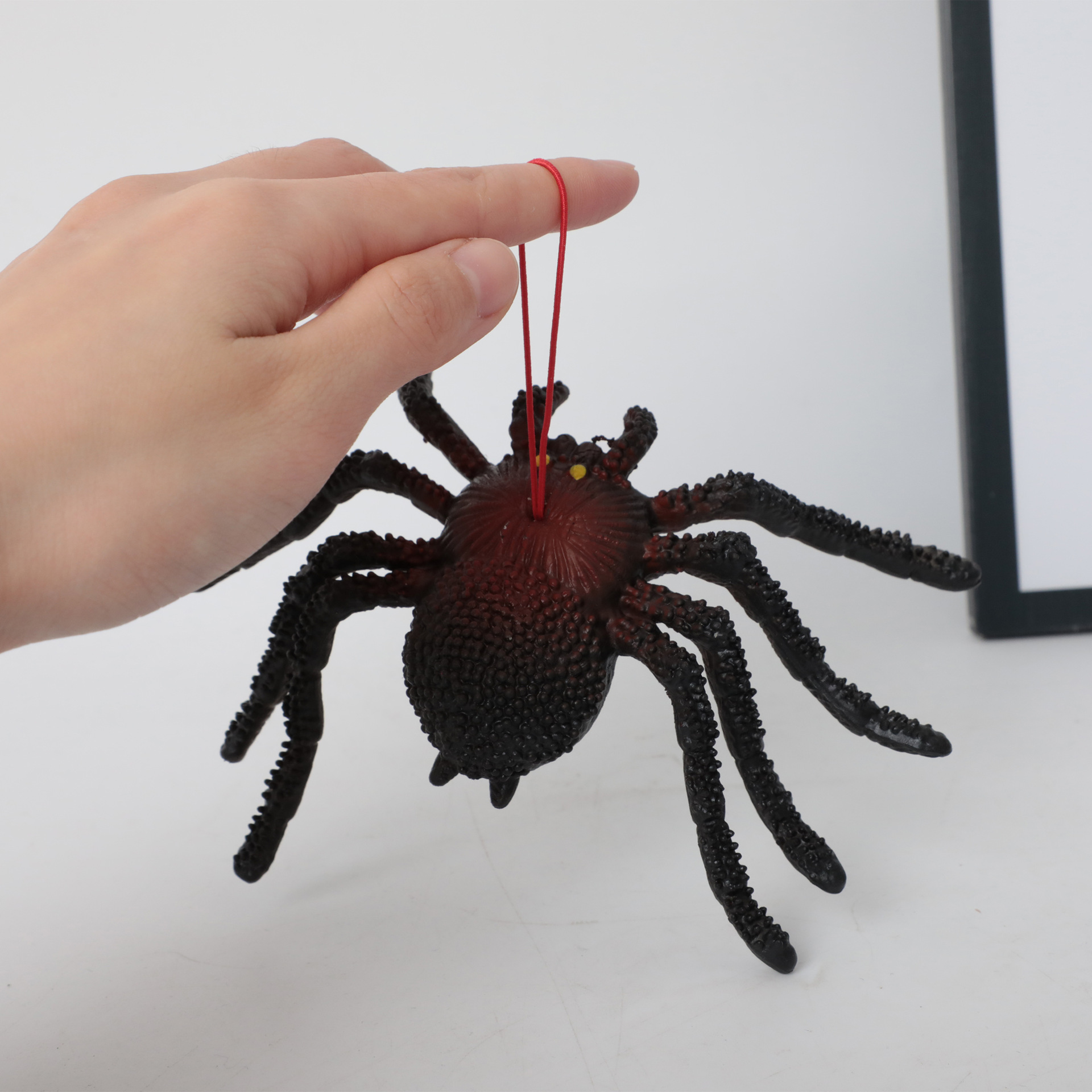 动物仿真模型认知启蒙昆虫小动物儿童玩具整蛊玩具