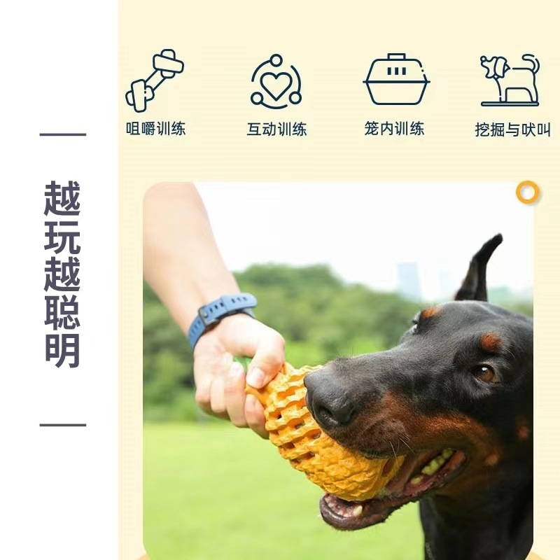宠物猫猫玩具/宠物玩具/猫爬架/宠物用品/猫咪猫玩具产品图