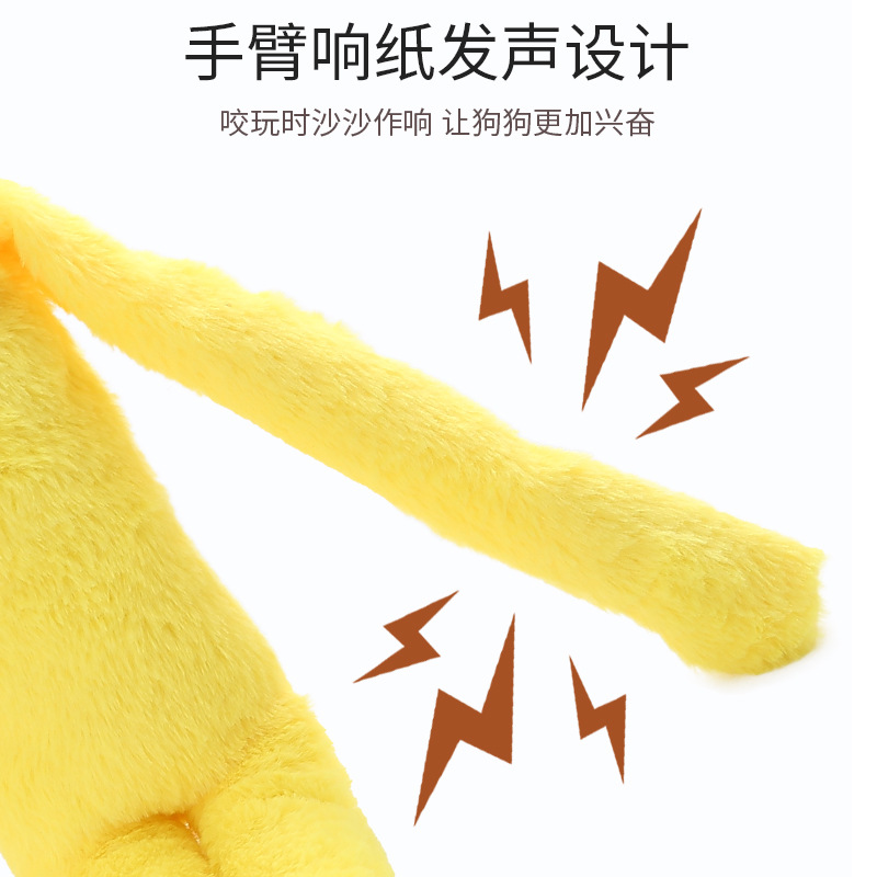 Pet supplies: Plush dog toys, bb crying paper, sound-making toys, soothing and accompanying, biting and boring dog toys Application Scenario
