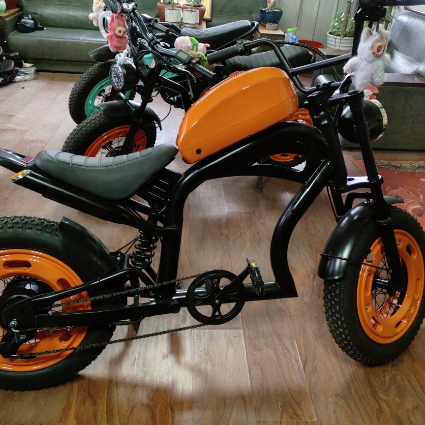 Dirt bike Harley-Davidson 48v20ah High-power fat tire electric-assisted off-road motorcycle Application Scenario