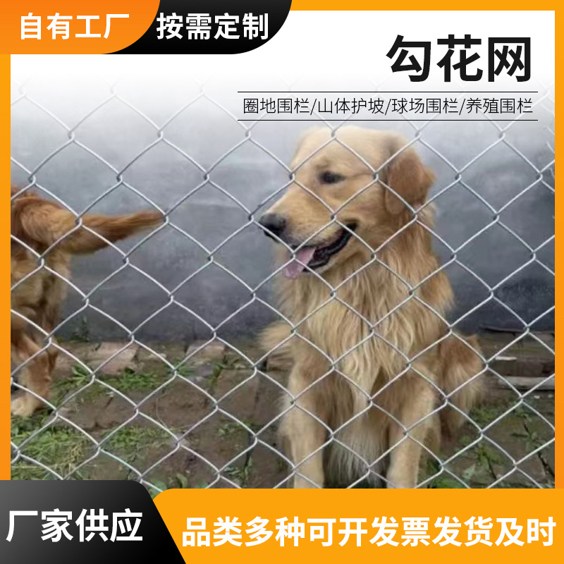 金属板网勾花网硅胶网老鼠笼狗用防护网