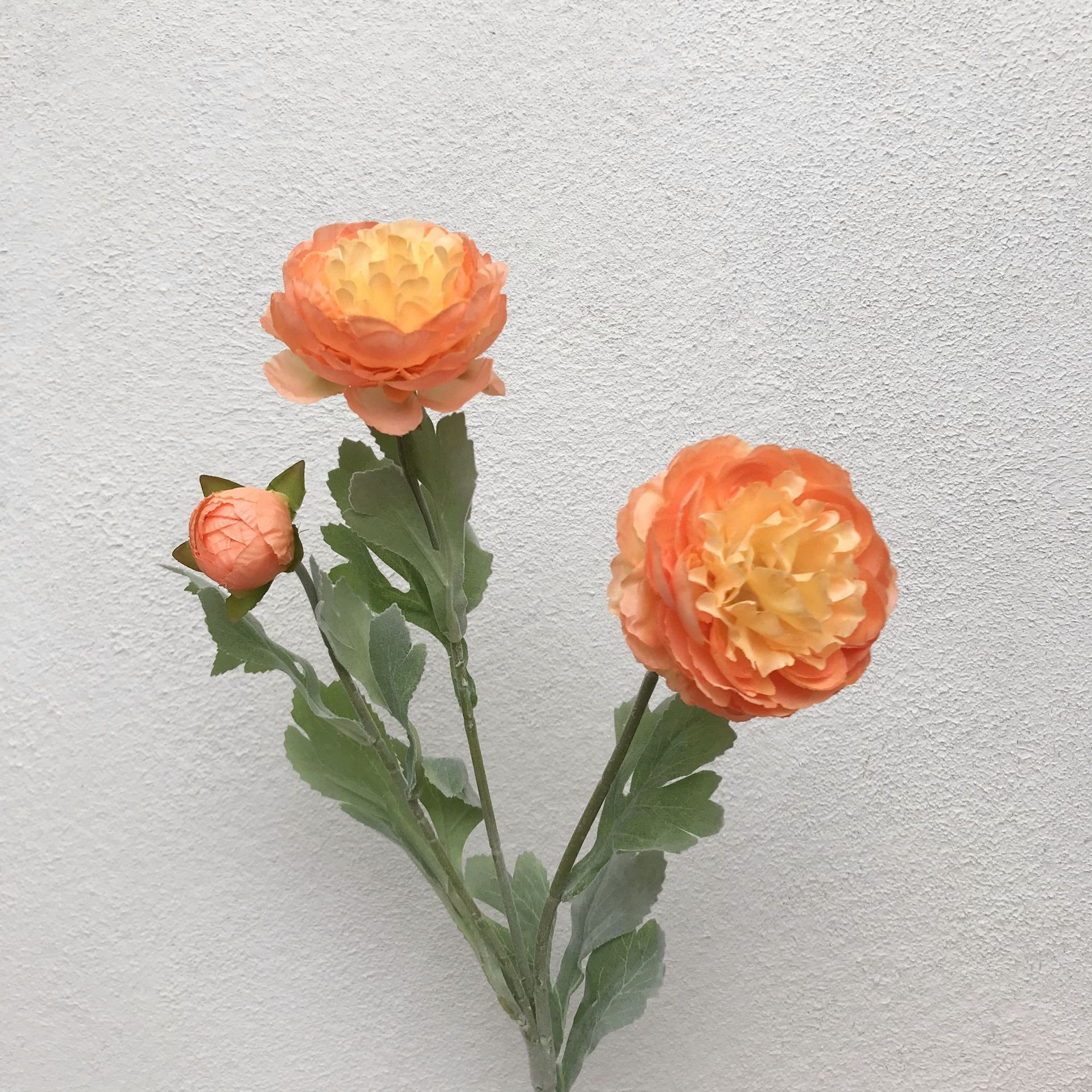 仿真水生植物实物图