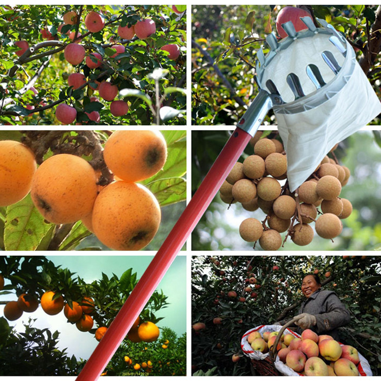 Metal fruit pickers, agricultural and garden hardware tools, fruit pickers, fruit hooks, portable high-altitude fruit pickers
