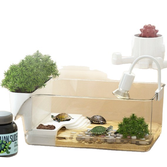 新款透明小型乌龟饲养缸家用螃蟹缸办公室桌面龟缸生态造景晒爬台白底实物图