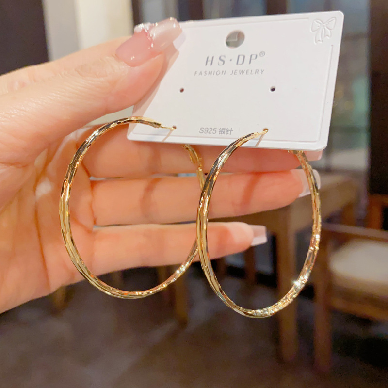 欧美跨境个性夸张金属双层大圈圈耳环气质轻奢简约冷淡风耳圈批发