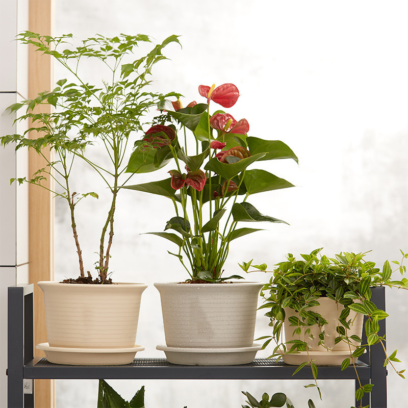 盆栽伴手礼/手工花毛线编织/盆栽/小绿植/贝壳方片产品图