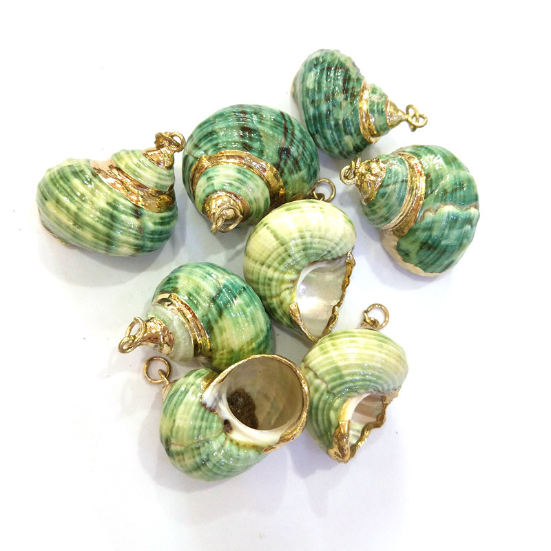 Green shell pendant with golden edges Specification image
