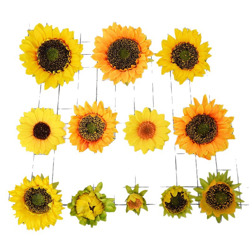 永生花/永生花玻璃罩/永生花礼物/花环圈/礼盒空白底实物图