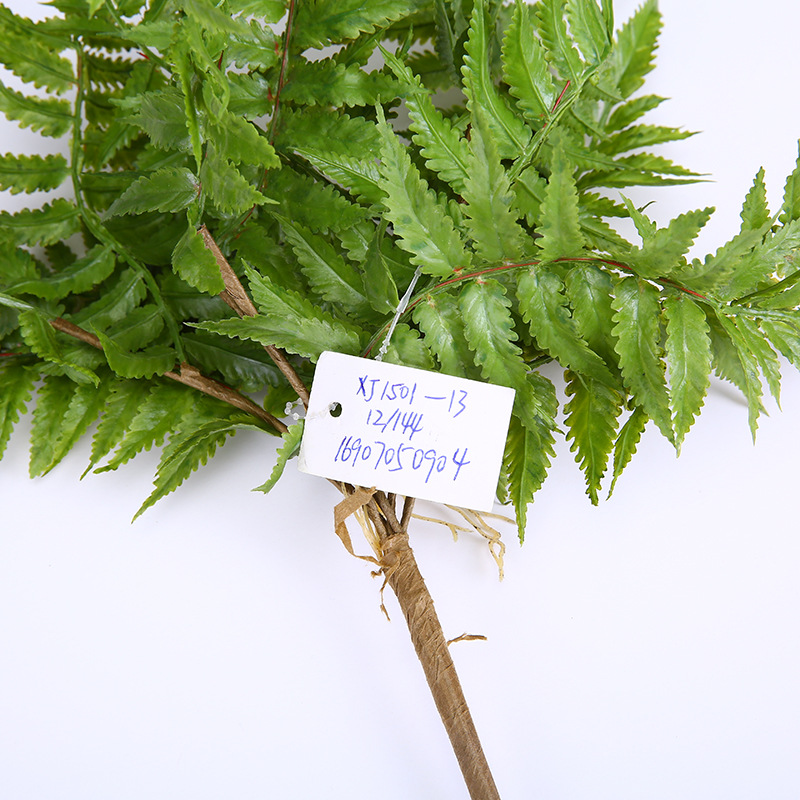 婚庆装饰仿真植物假花绿植蕨类叶子植物墙绿植墙配材波斯草波斯叶细节图