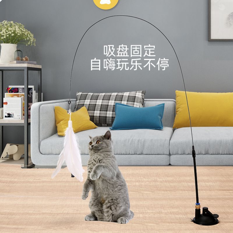 猫猫玩具实物图