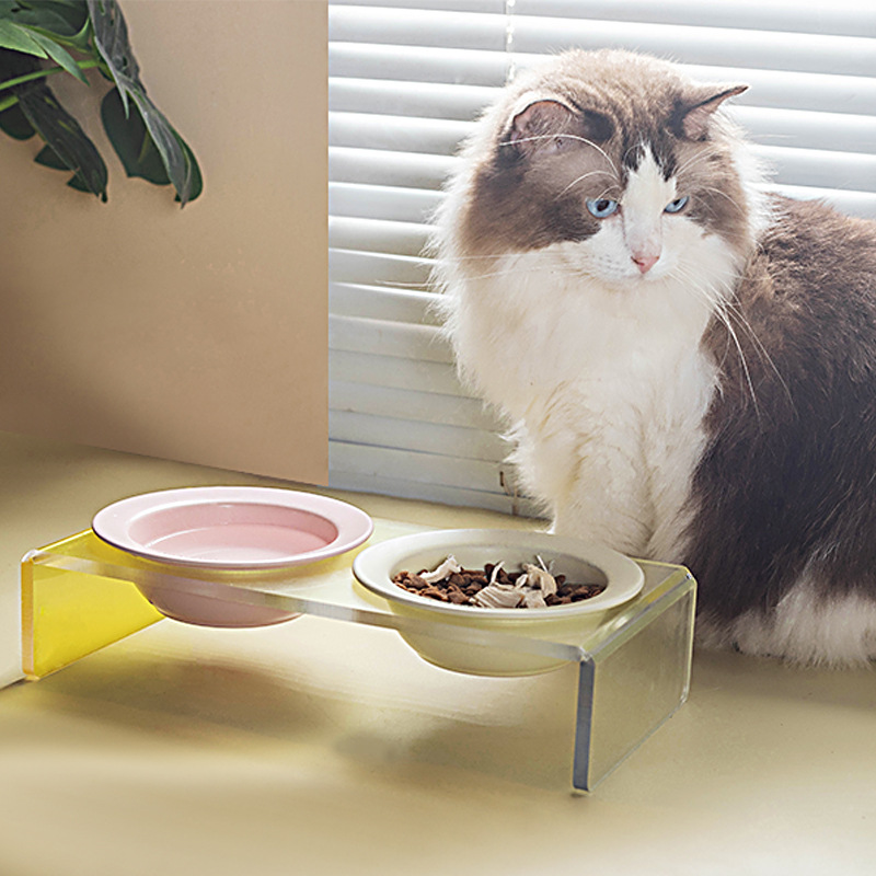 狗狗食具实物图