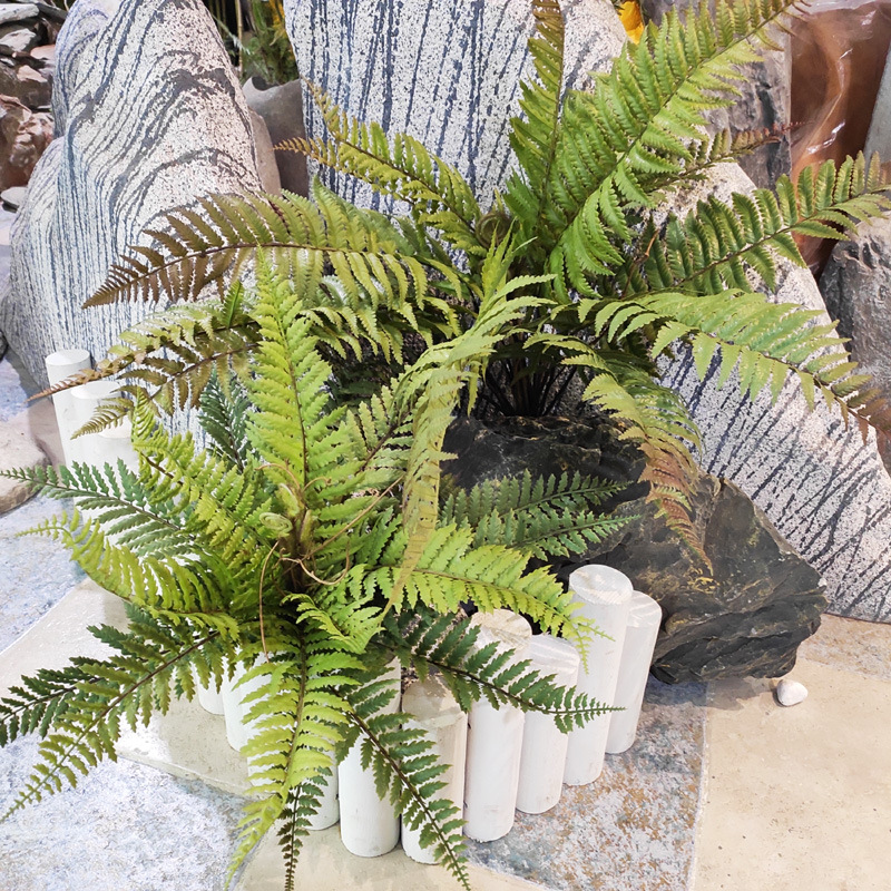 手感软胶仿真蕨类绿植装饰造景植物波斯草植物盆栽居家装饰把束产品图
