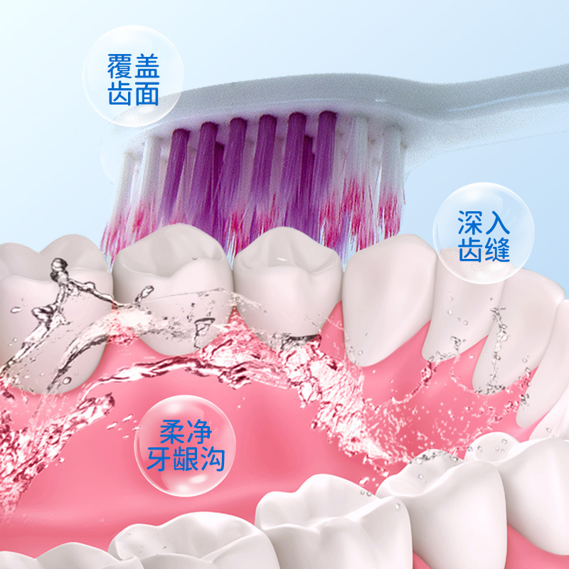 Meko M494 lion mismo diente fino elástico protector gengiva adulto pelo suave cepillo de dientes pareja hogar pequeño cepillo cabeza Specification image
