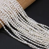 Exquisite natural freshwater pearl rice beads DIY jewelry accessories, handcrafted jewelry necklaces, semi-finished product production and wholesale details Picture