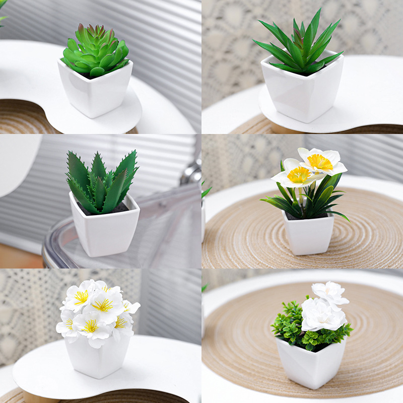 仿真水生植物实物图