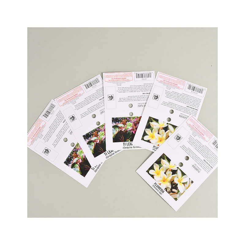Folded paper card packaging, color card paper packaging, card head customization, tag printing, blister paper, pvc card back, airplane paper Item Picture