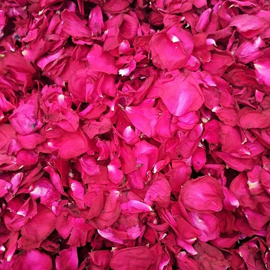 仿真照相机实物图