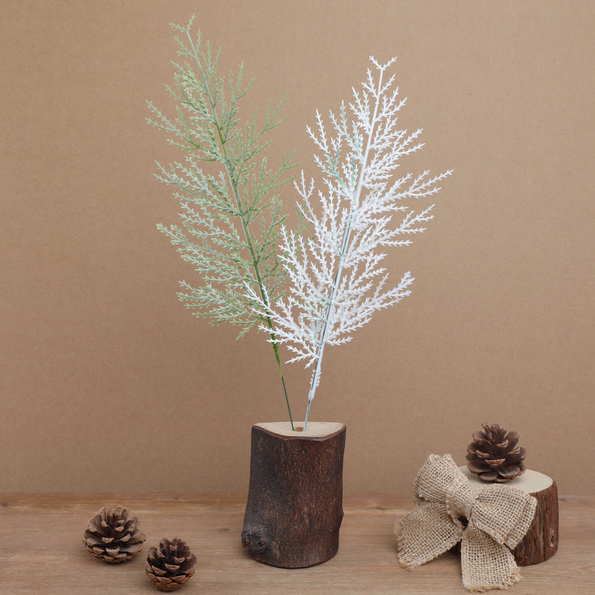 仿真蕨类实物图