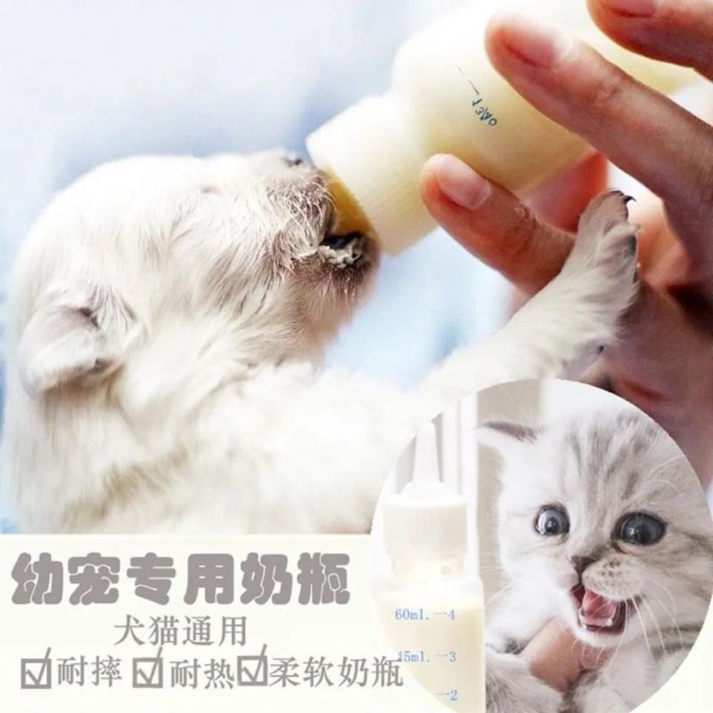 猫猫牵引实物图