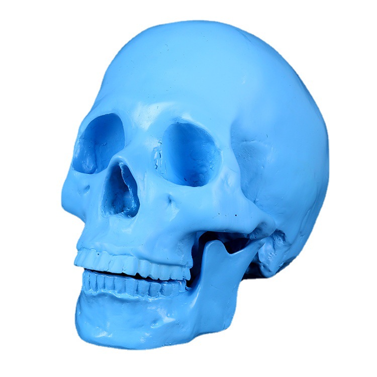 蓝色头骨装饰品创意摆件个性时尚艺术品装饰摆设工艺品细节图