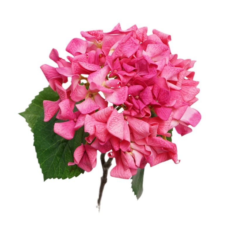高品质手感保湿绣球花单枝荷兰绣球家居餐桌装饰花艺婚庆假花批发白底实物图