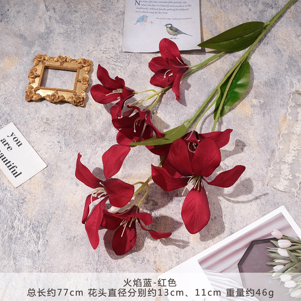 仿真水生植物实物图