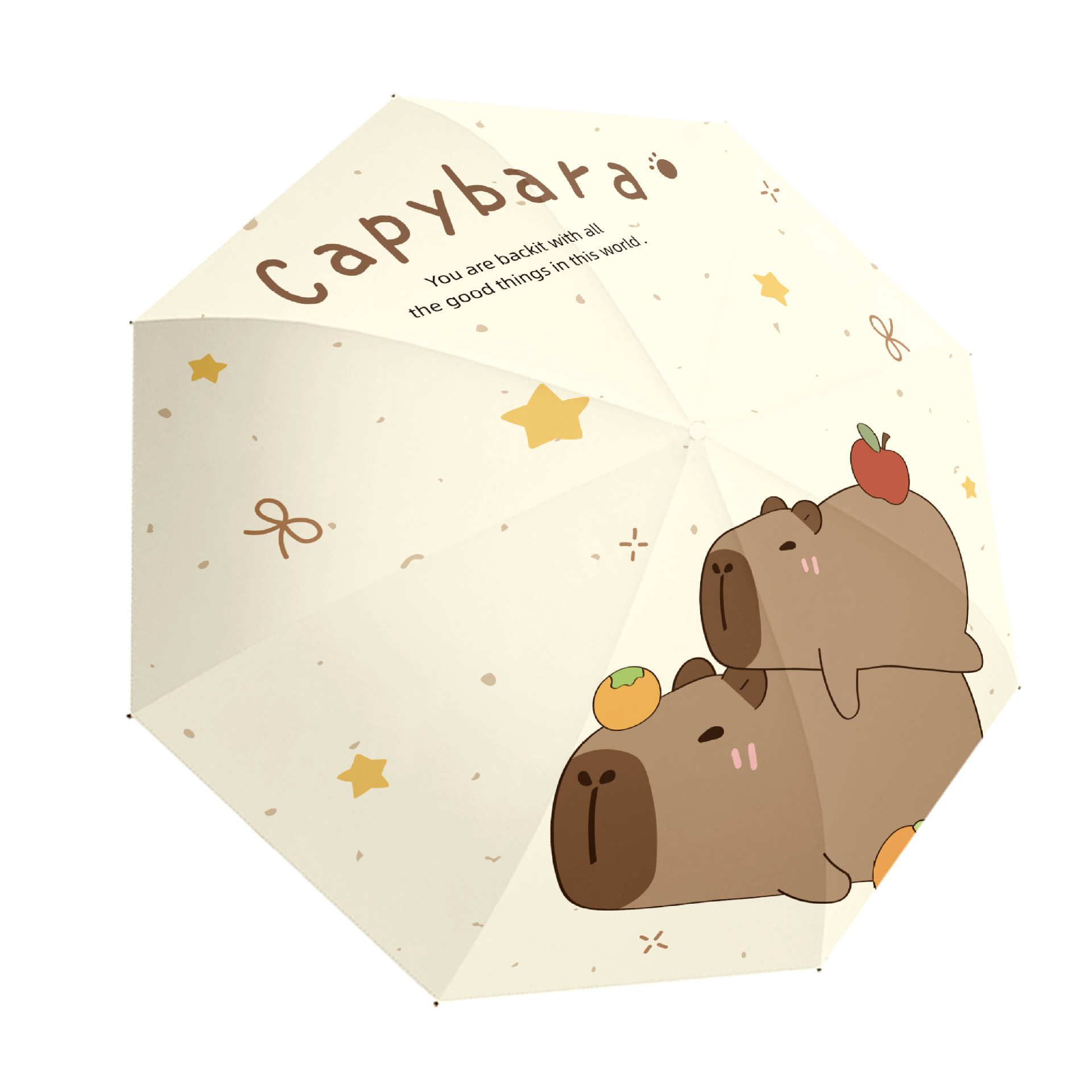 雨伞/长柄伞色丁/24骨雨伞定制/色丁雨伞/雨伞太阳伞白底实物图