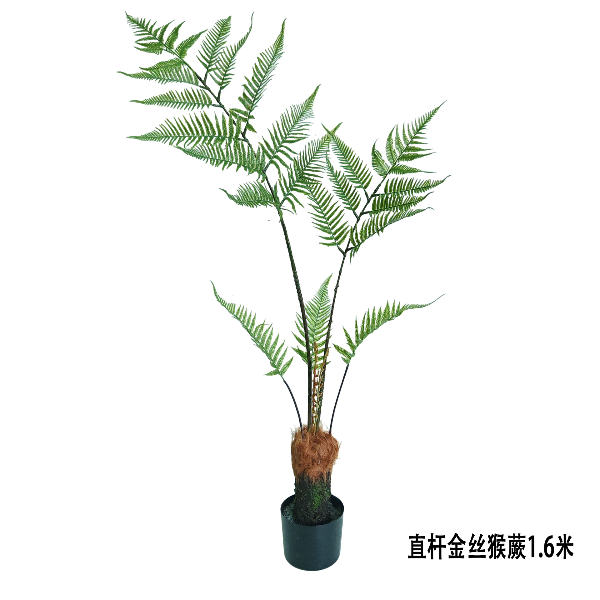 Simulated golden monkey fern, potted golden dog fern, one-leaf Persian grass, artificial tree, Chinese-style indoor Zen-inspired landscape Specification image