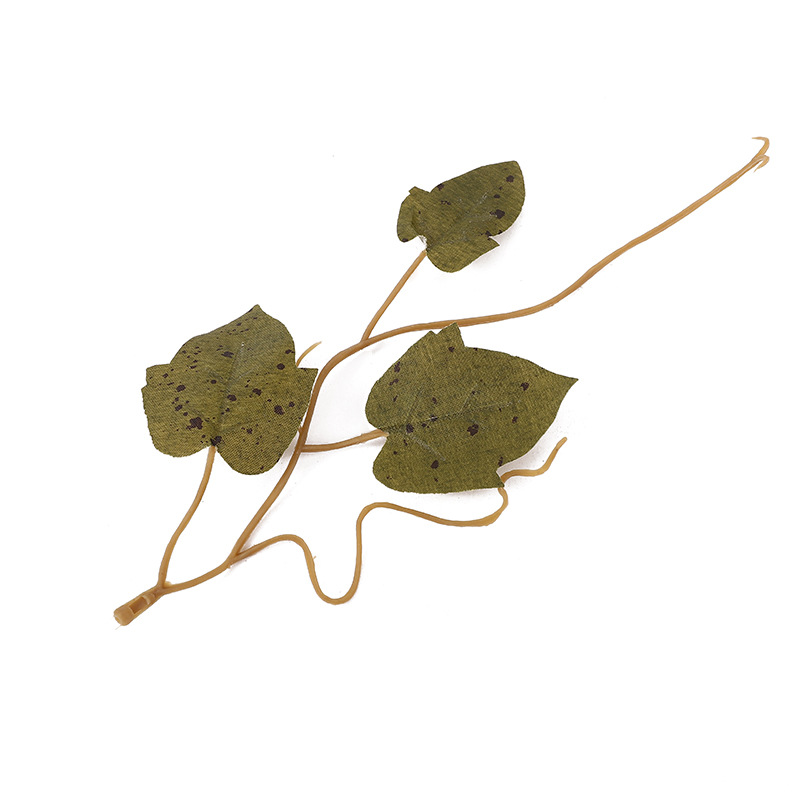 仿真果实实物图