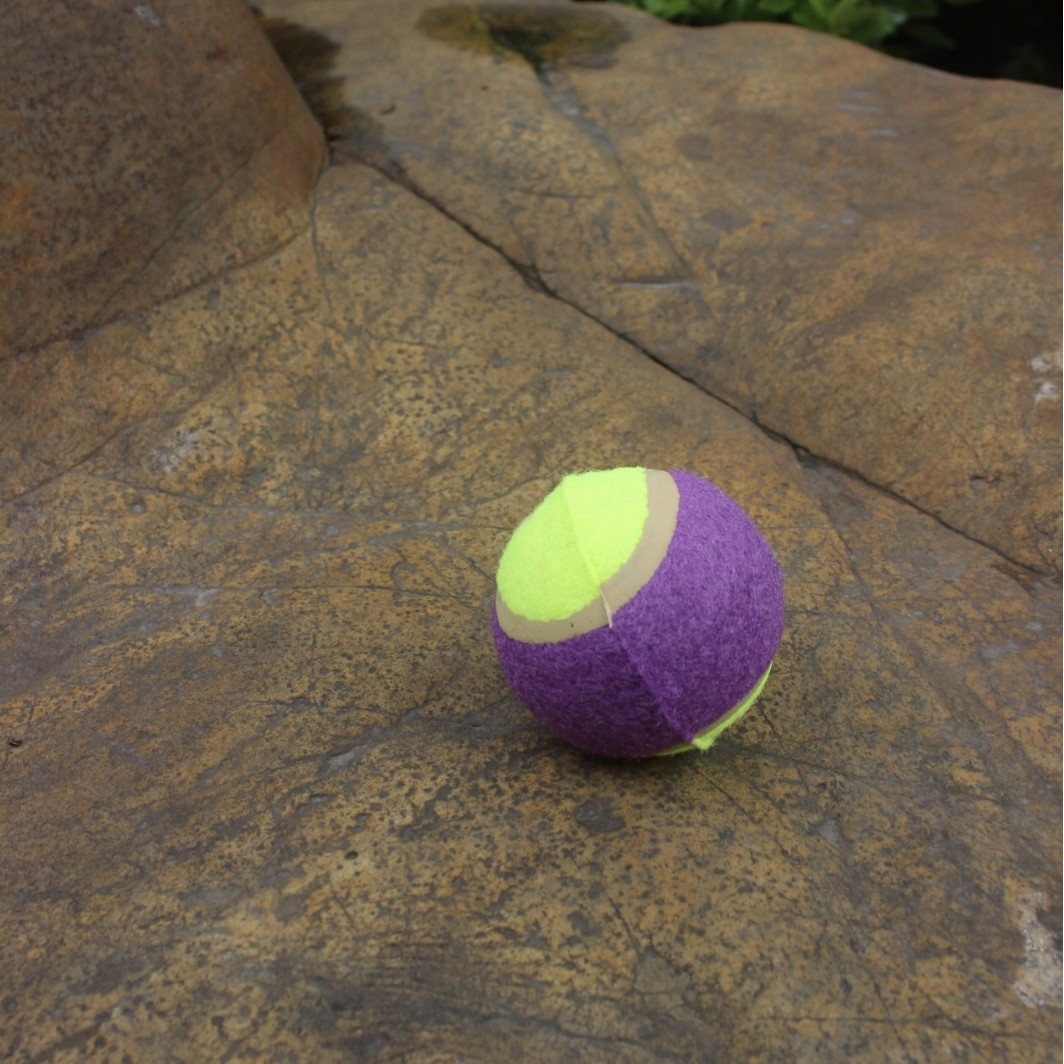 Factory direct sales of C-level pet tennis balls wholesale. Wear-resistant rubber for dogs to chew, catch and throw. Quick delivery Application Scenario