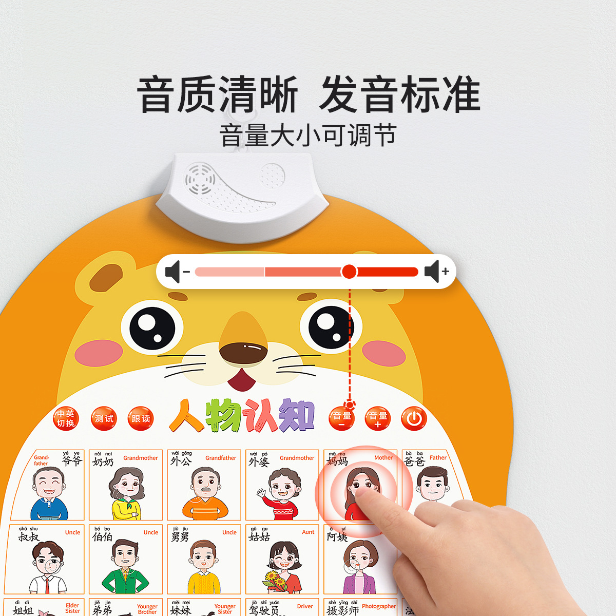有声挂图实物图