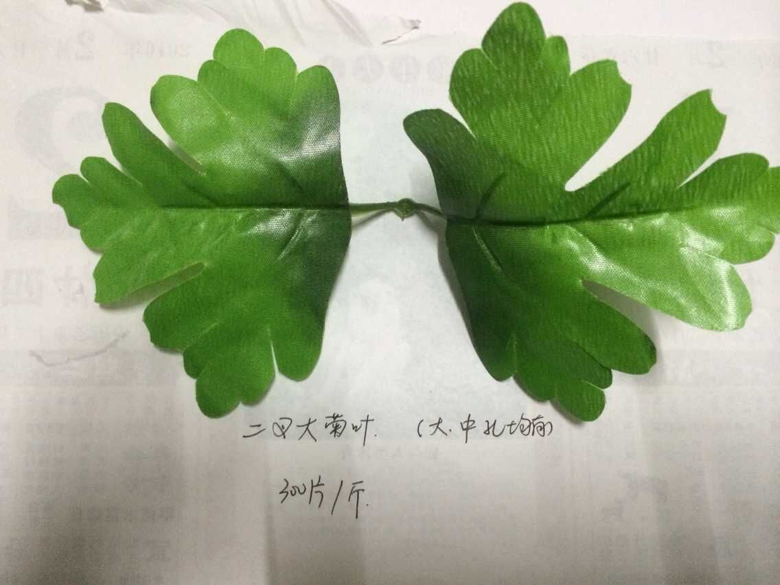仿真花叶，二叉大菊叶，花材细节图