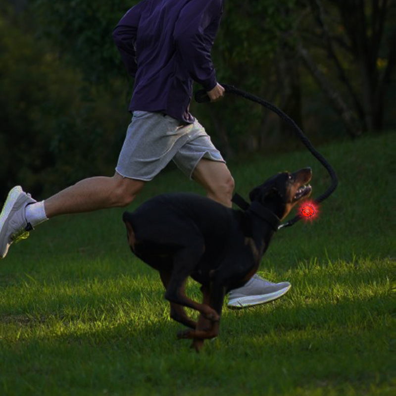 Pet night light dog walking lamp to prevent dogs from getting lost at night, illuminated pendant, charging LED warning, cat and dog flashing night walk Application Scenario