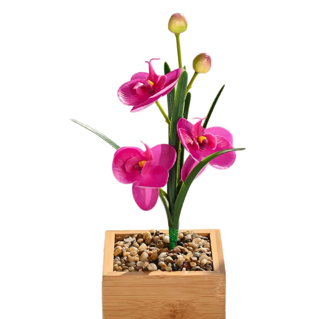 The small Phalaenopsis with leaves, three-flower hand feel, indoor home artificial flower, photography prop, wedding artificial flower and decorative plant Item Picture