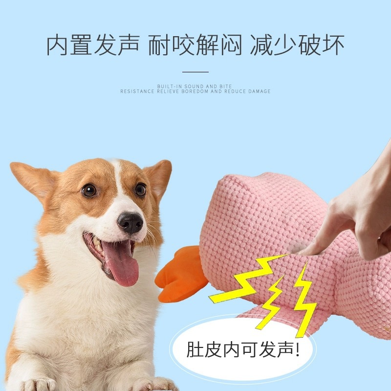 宠物玩具/宠物/宠物用品/狗玩具/宠物用品玩具产品图