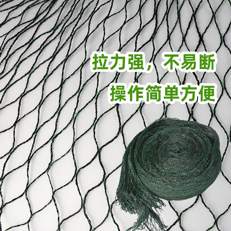 安全绳实物图