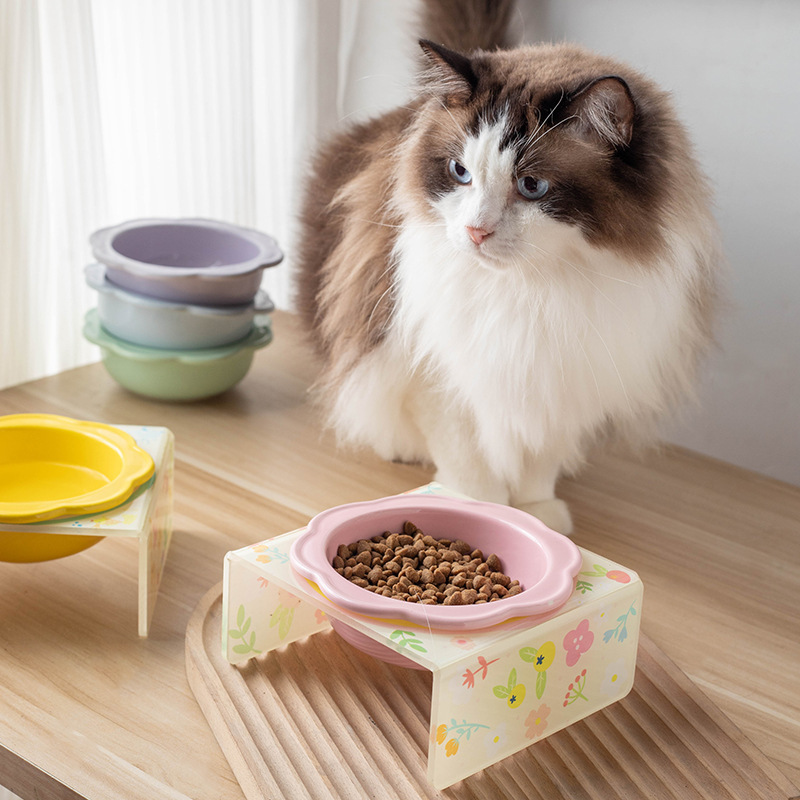 Cartoon pet bowl, acrylic stand, flower ceramic cat bowl, height-increasing dining table, single bowl stand for cats and dogs, neck guard to prevent knocking Application Scenario