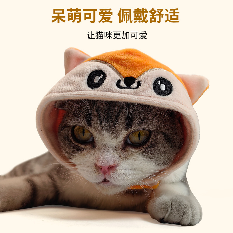 宠物帽子实物图