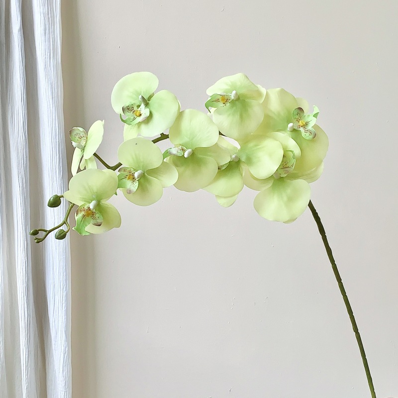 仿真枝叶和树实物图