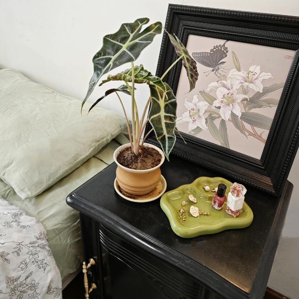 ins风不规则陶瓷首饰收纳盘绿色创意饰品托盘珠宝展示盘桌面收纳产品图