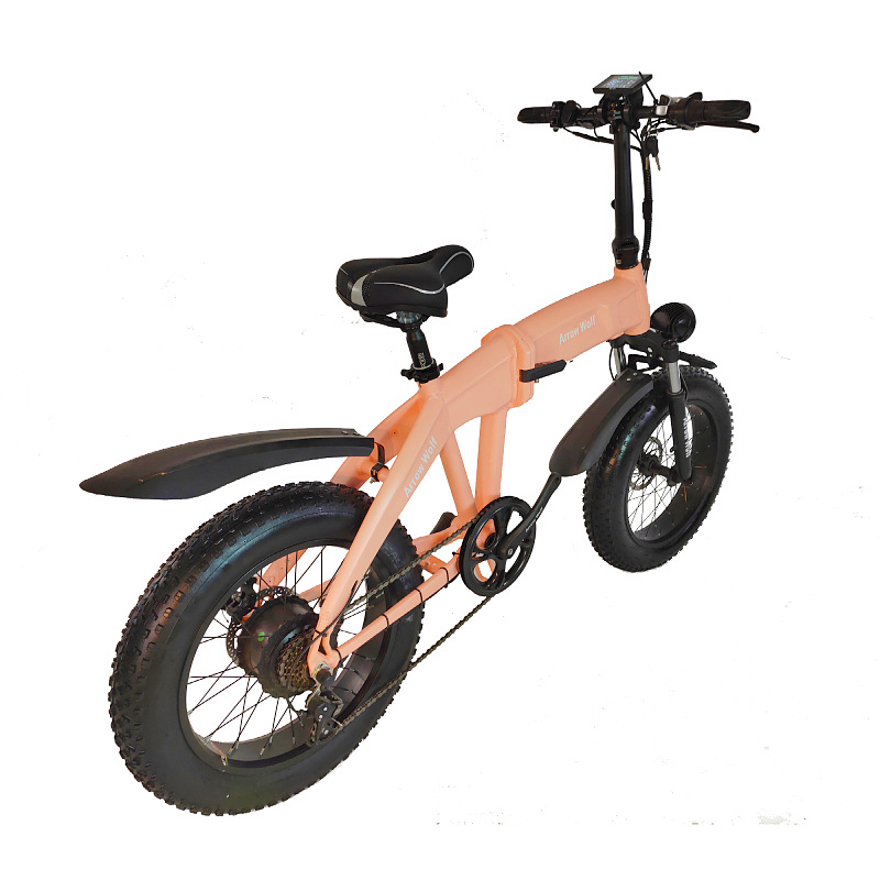 Dual-motor snow electric-assisted vehicle, dual-battery dual-motor electric bicycle, folding dual-motor electric vehicle Application Scenario